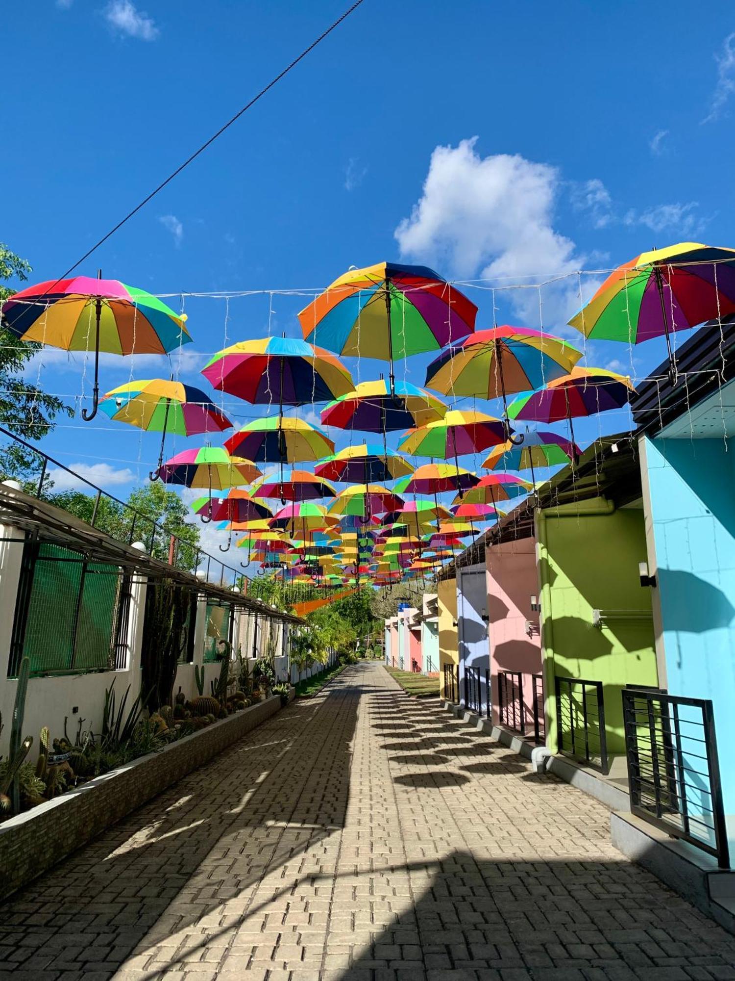 Sunshine Stay Panglao Bagian luar foto