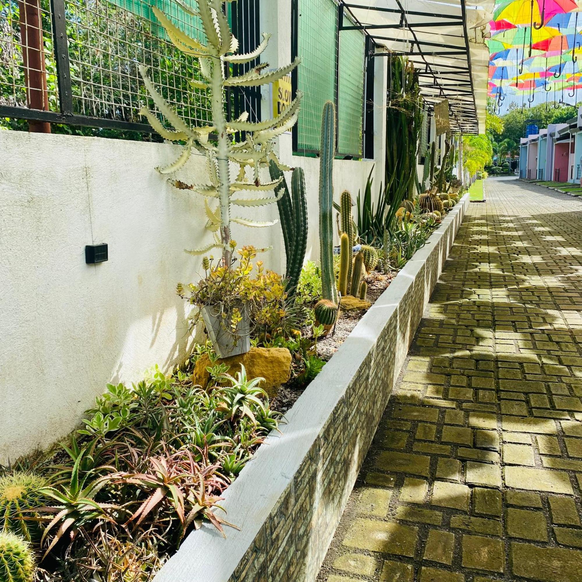 Sunshine Stay Panglao Bagian luar foto